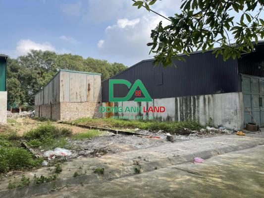 Bán đất đấu giá X2 Hương Trầm Thụy Lâm Đông Anh