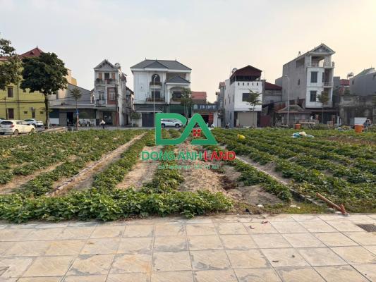 ĐẤT ĐẤU GIÁ XÃ THƯ LÂM - LÔ LK2-4 TẠI THÔN HÀ HƯƠNG XÃ LIÊN HÀ (80M² - MT 5M)