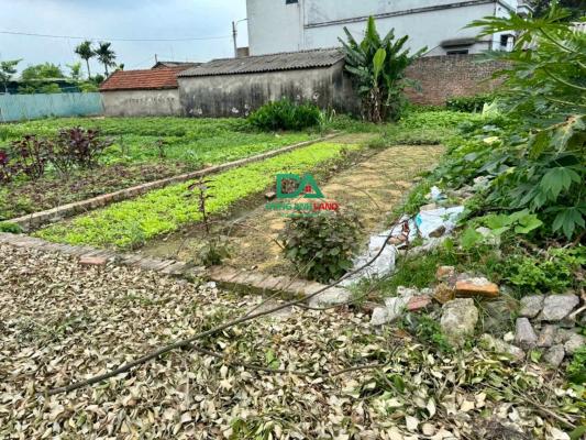 Bán 52,2m đất thôn Đình Trung xã Xuân Nộn Đông Anh gần KCN 300ha