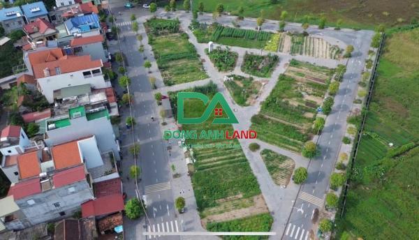 Đấu giá X2 Thái Bình Mai Lâm Đông Anh - Chính chủ gửi bán lô 80m2, MT 5m