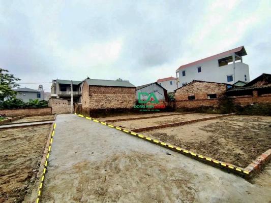 Bán đất Thư Lâm Đông Anh diện tích 54.4m chính chủ thôn Mạnh Tân 