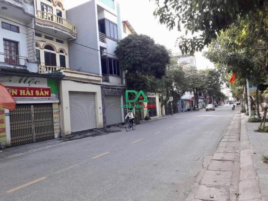 Bán đất Đông Anh kinh doanh sầm uất mặt đường Đào Cam Mộc