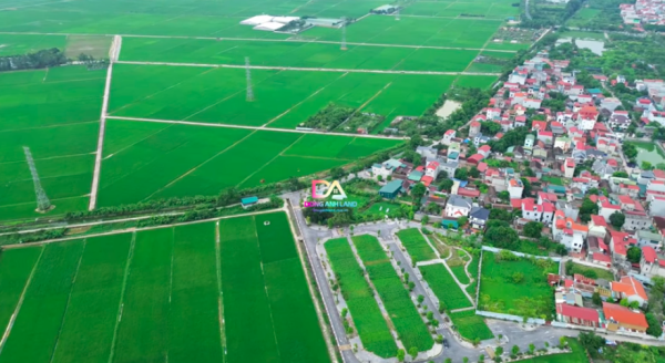 Bán đất đấu giá X8 Liên Hà Đông Anh – Vị trí đẹp, đầu tư tiềm năng