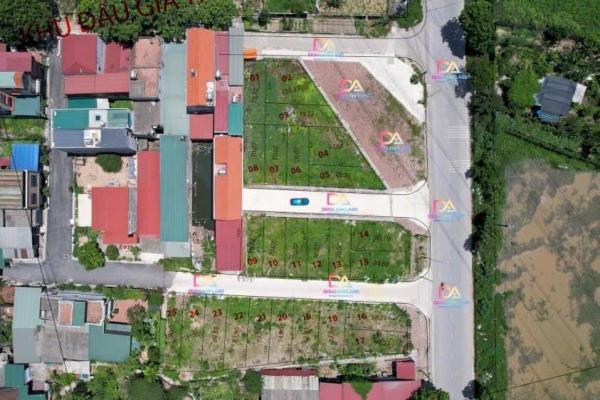 Bán đất đấu giá Đình Tràng Dục Tú Đông Anh 