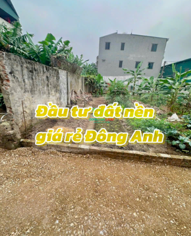 Đất Nền Giá Rẻ Đông Anh – Cơ Hội Đầu Tư Hấp Dẫn
