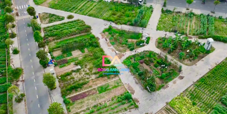 Sơ đồ vị trí đấu giá X2 Thái Bình Mai Lâm Đông Anh, Hà Nội