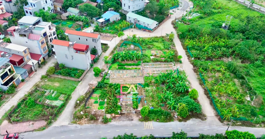 Sơ đồ và vị trí đấu giá khu đất thôn Hội Phụ, xã Đông Hội Đông Anh
